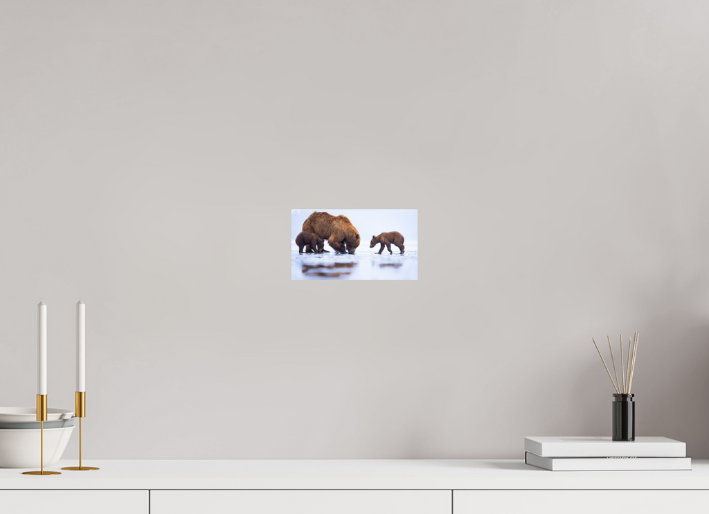 8 x 4.5″, Fine Art prints First Lesson — Brown Bear & Cubs, Lake Clark National Park, Alaska