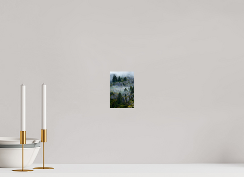 4 x 6″, Fine Art prints Cloud forest