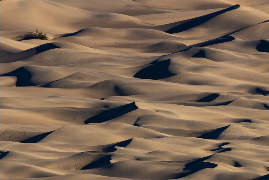 Main image DUNE CURVES