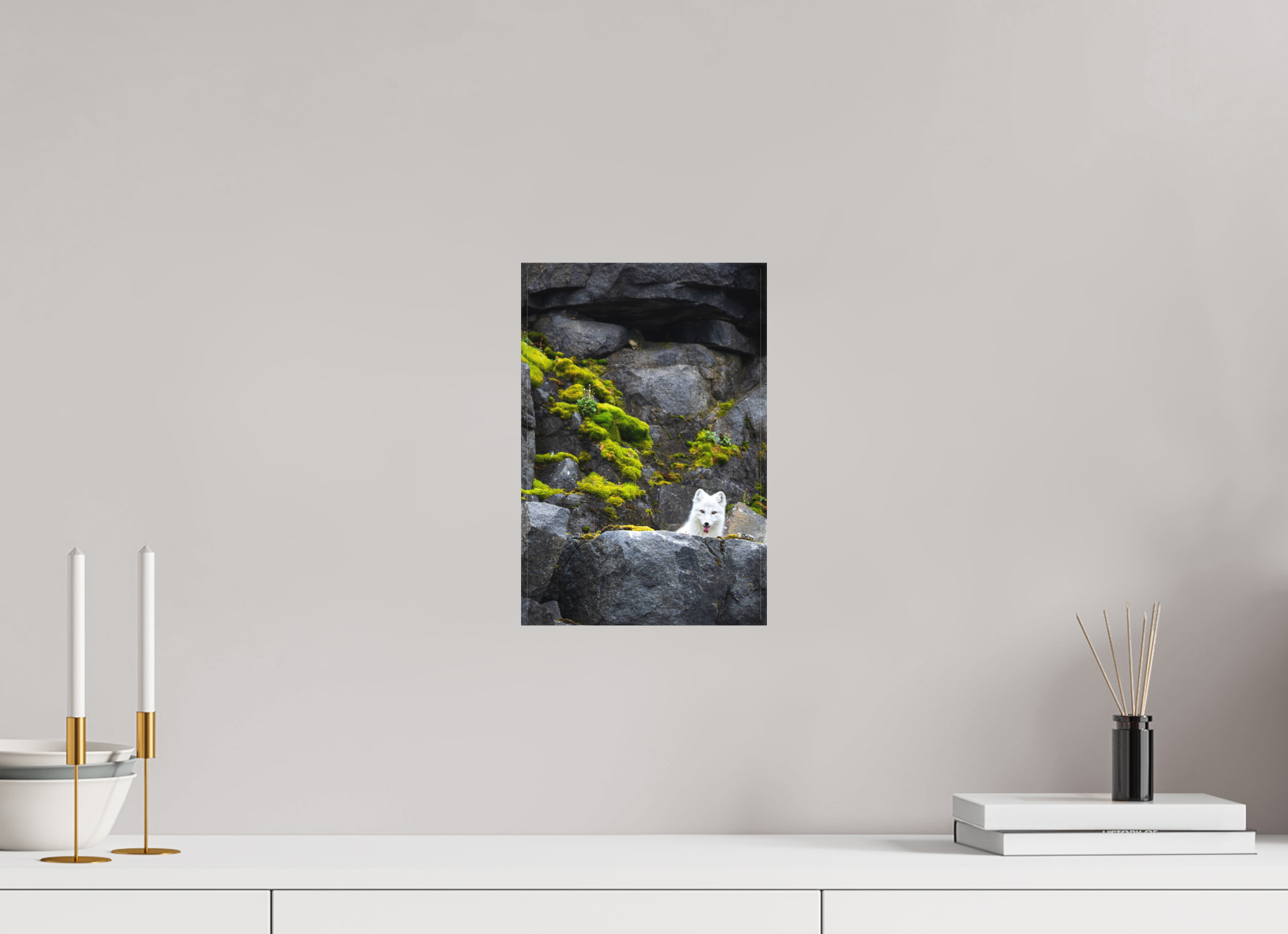 8 x 12″, Canvas WHITE FOX