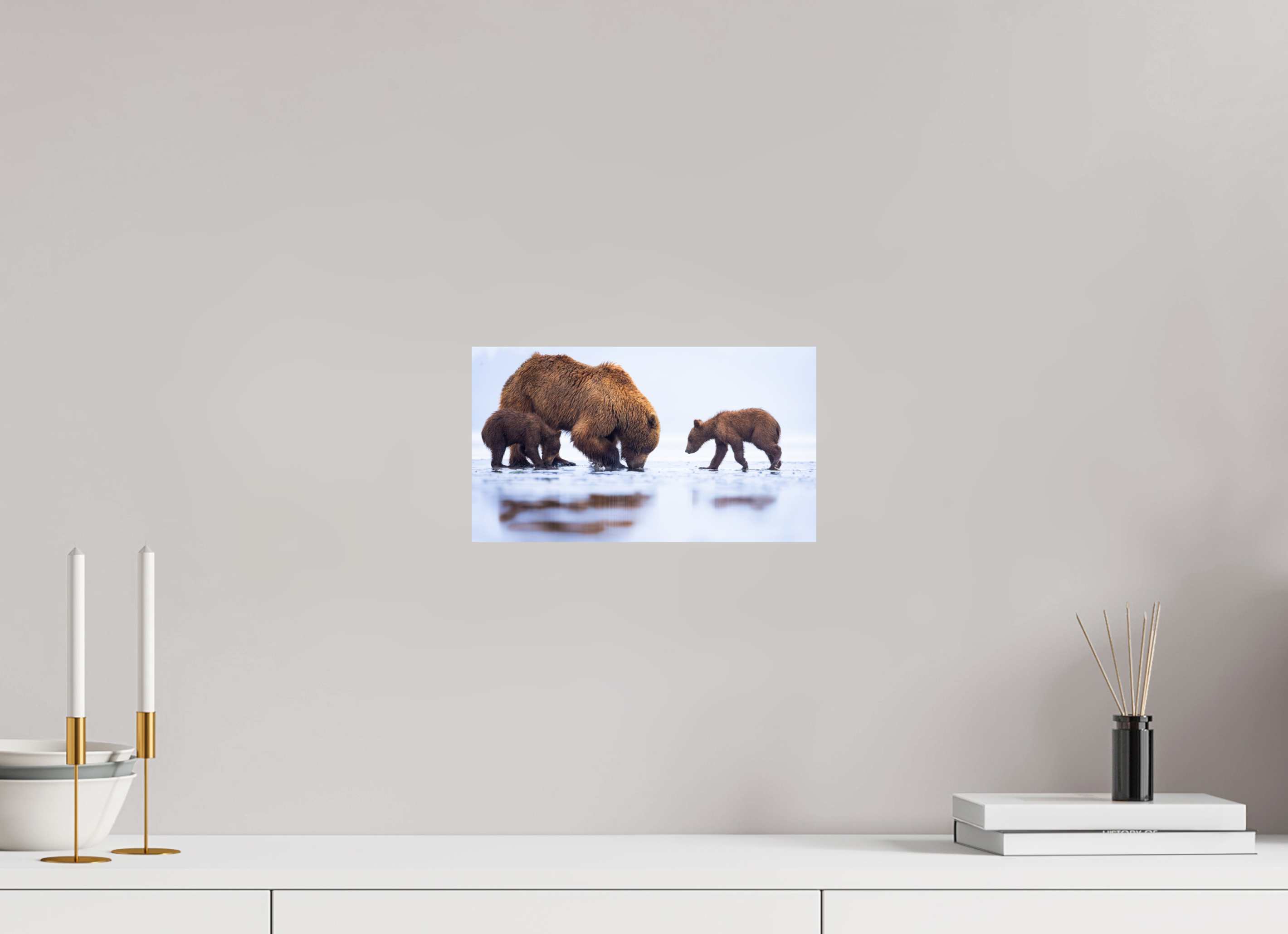 12 x 6.8″, Fine Art prints First Lesson — Brown Bear & Cubs, Lake Clark National Park, Alaska