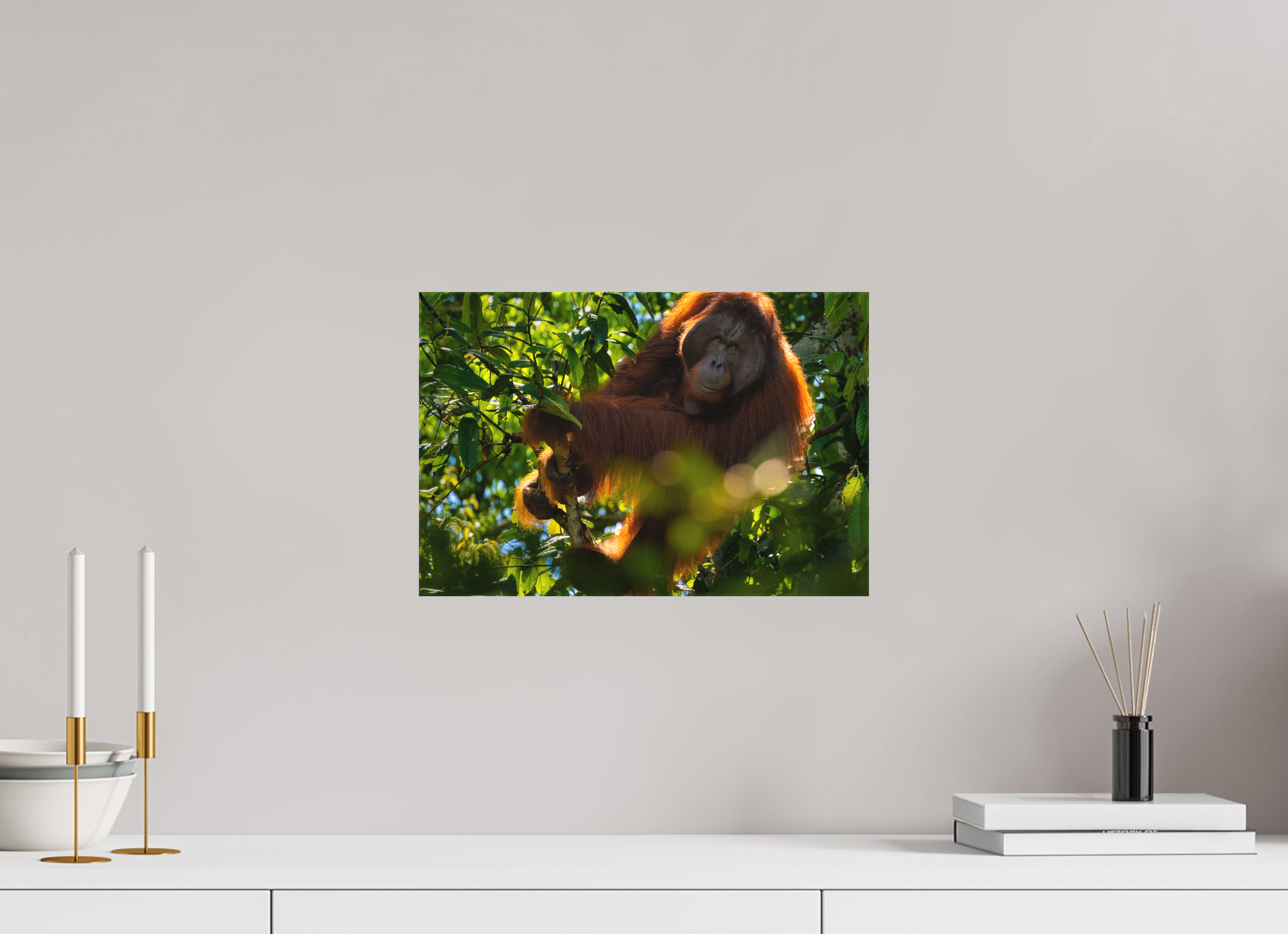 15 x 10″, Canvas In the Canopy