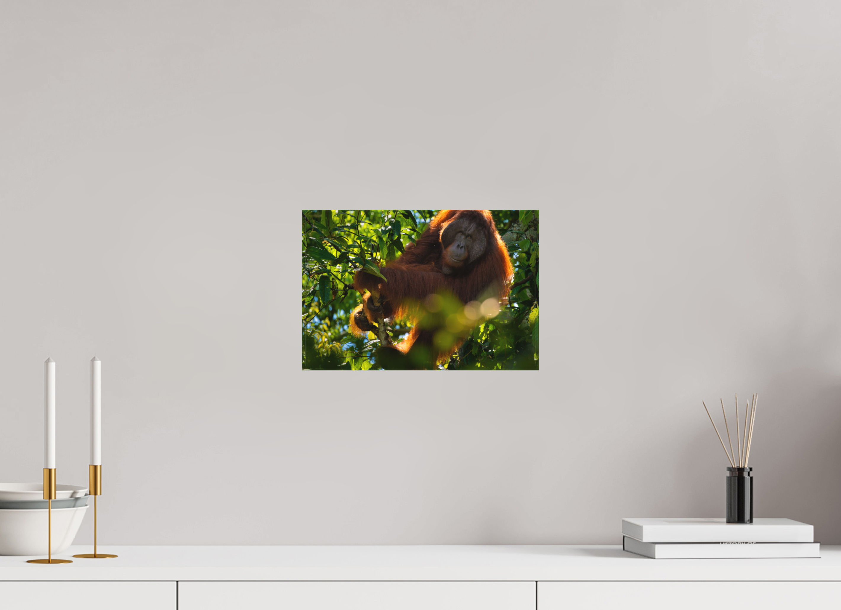 12 x 8″, Canvas In the Canopy