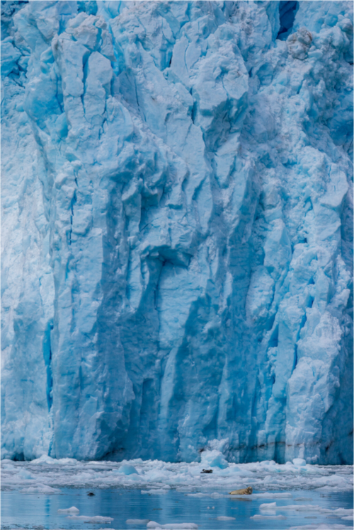 Main image Ancient Ice