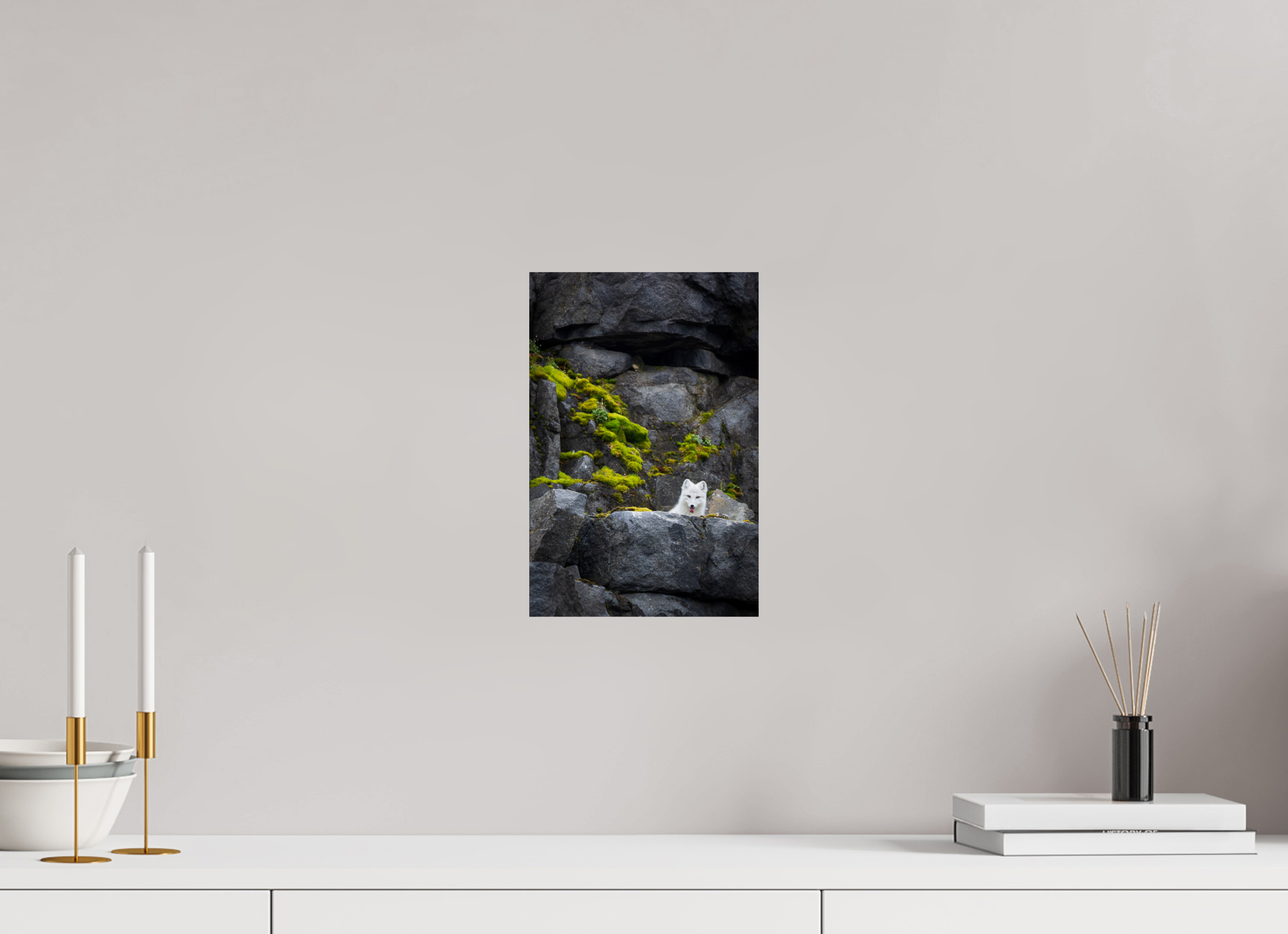 8 x 12″, Fine Art prints WHITE FOX