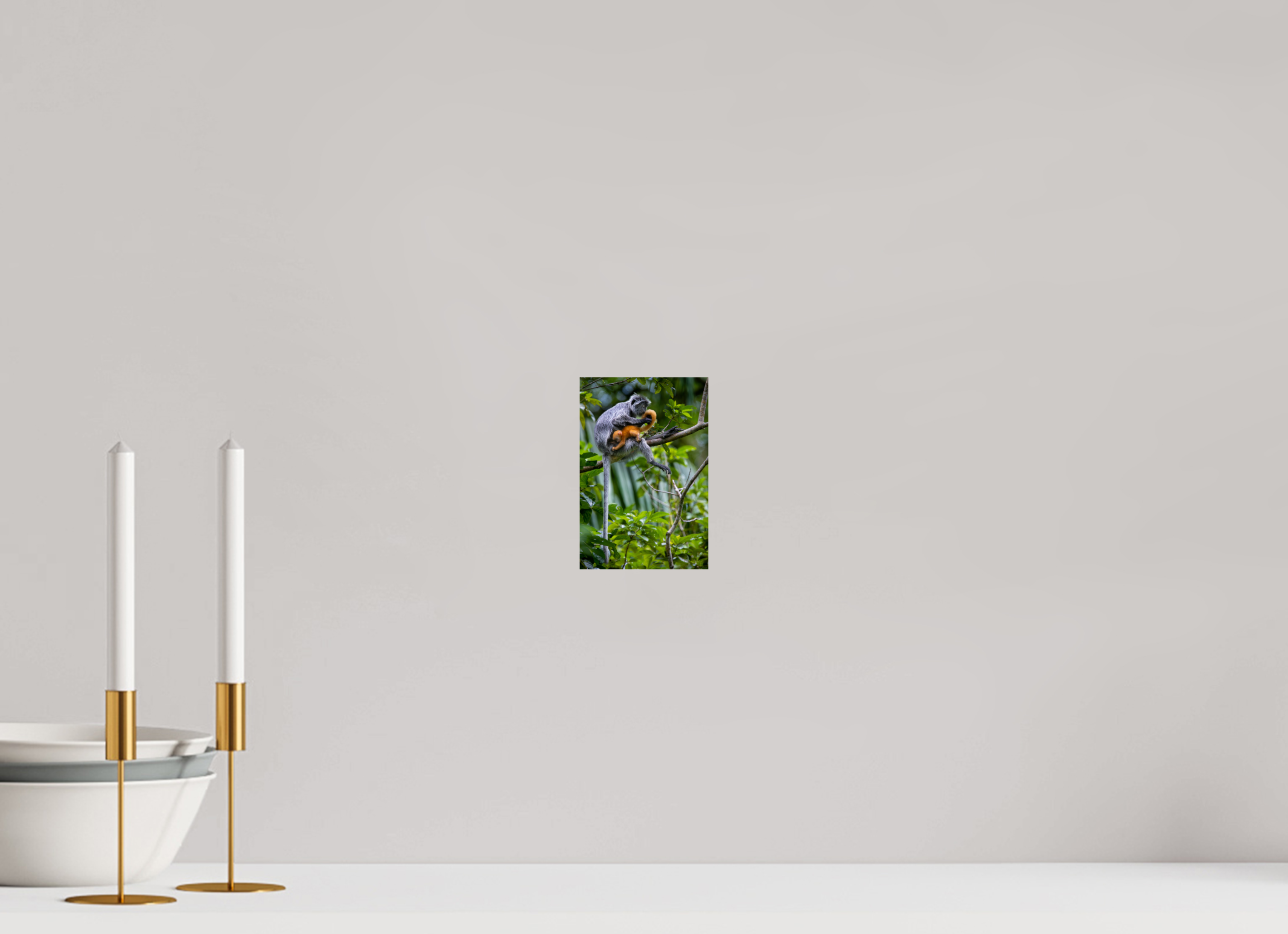 4 x 6″, Fine Art prints treetop watch