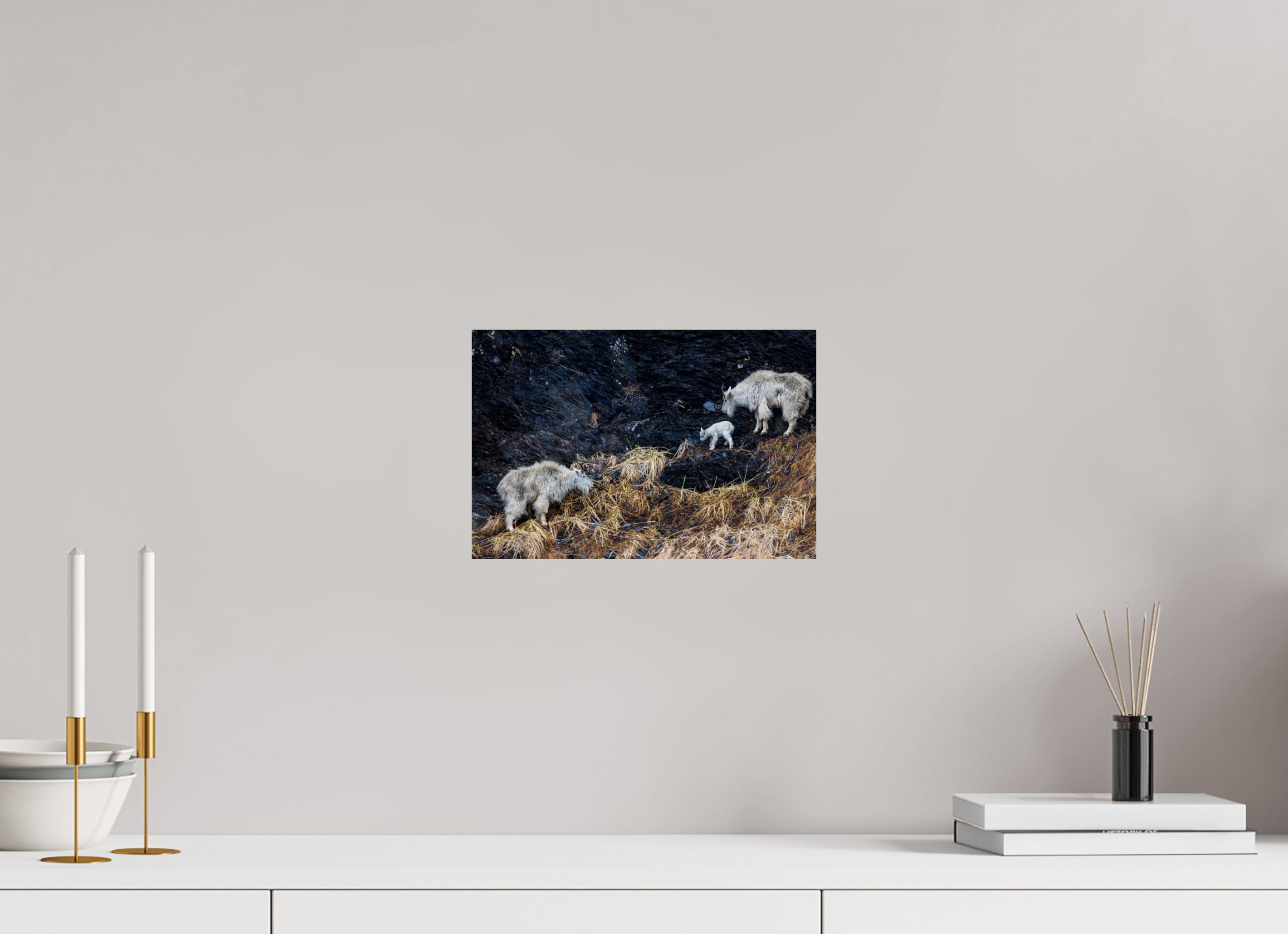 12 x 8″, Fine Art prints Sure-Footed