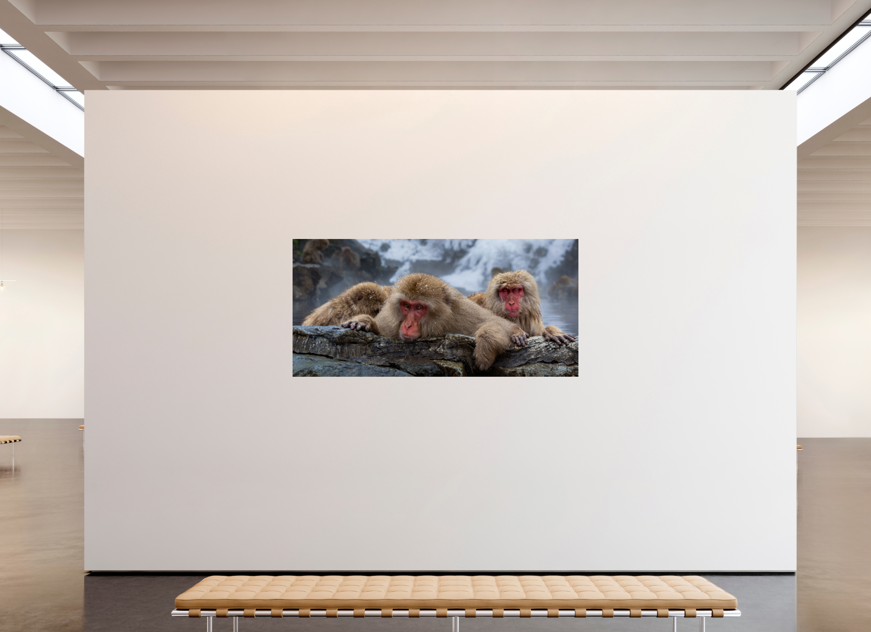 83.1 x 40″, Fine Art prints The Huddle