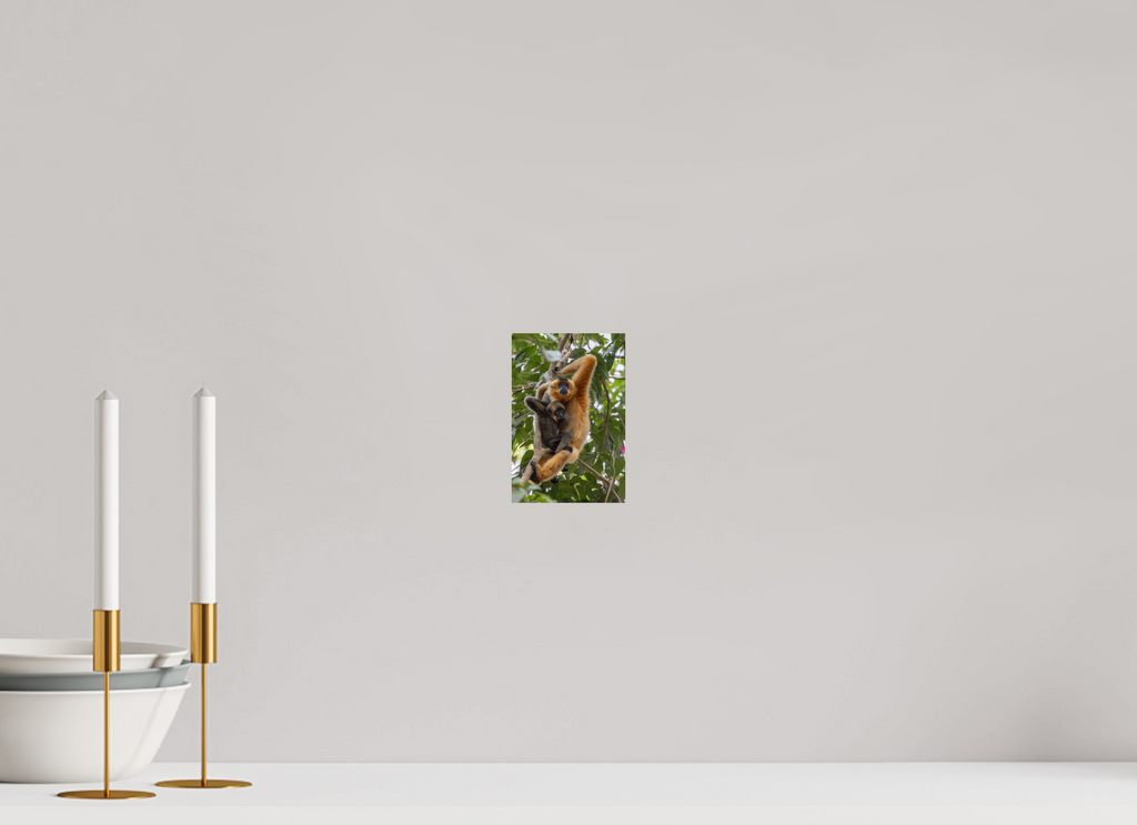 4 x 6″, Fine Art prints Holding On