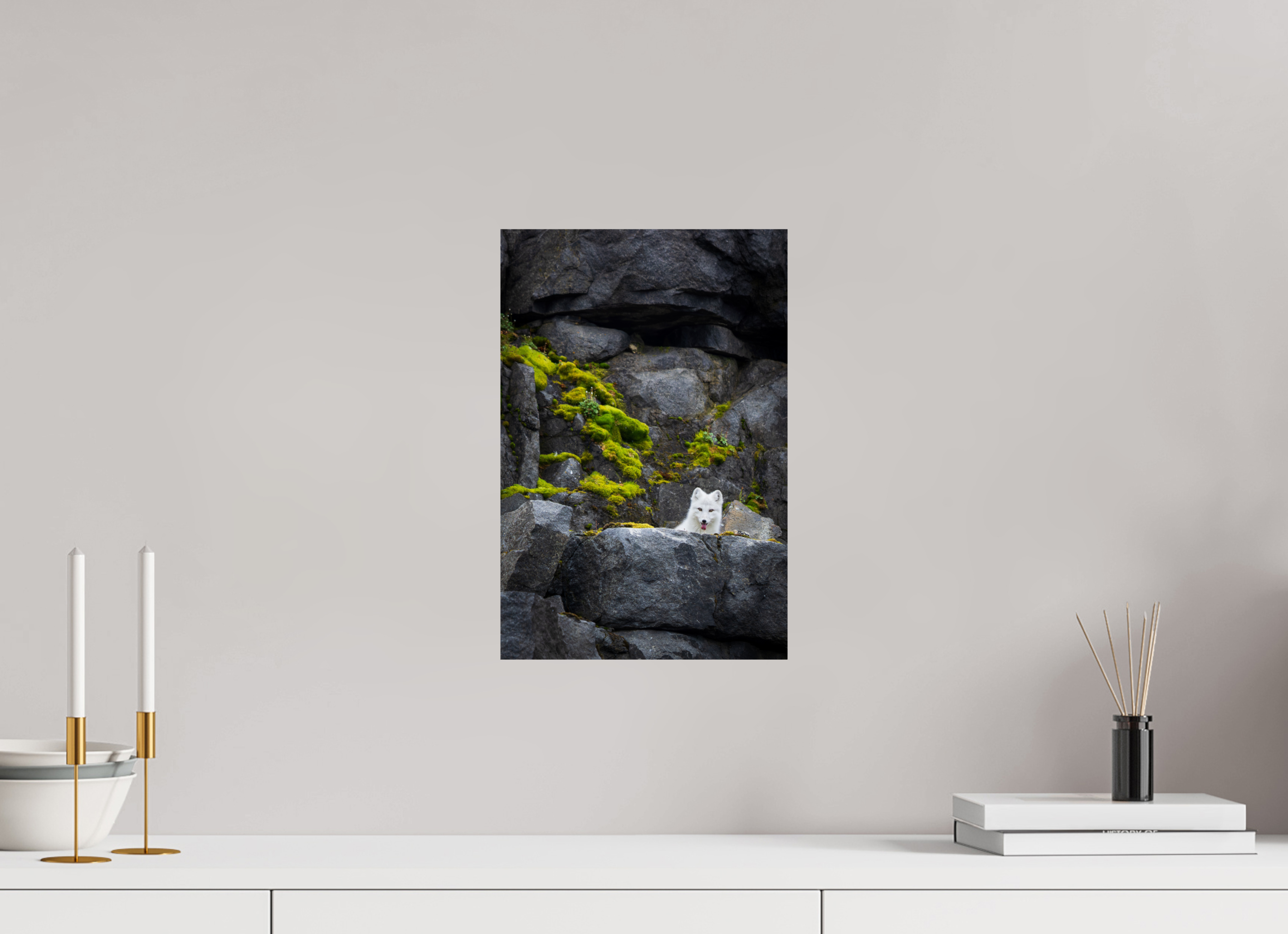 10 x 15″, Fine Art prints WHITE FOX