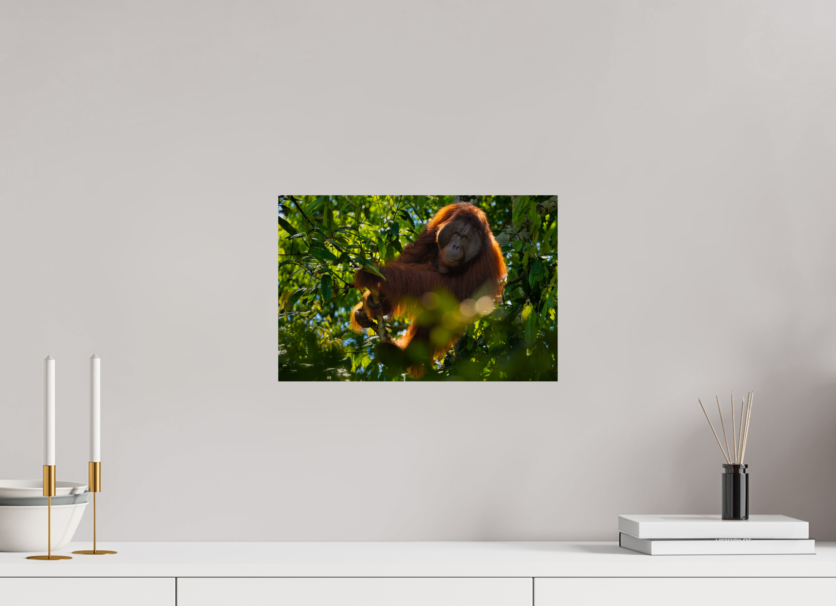 15 x 10″, Fine Art prints In the Canopy
