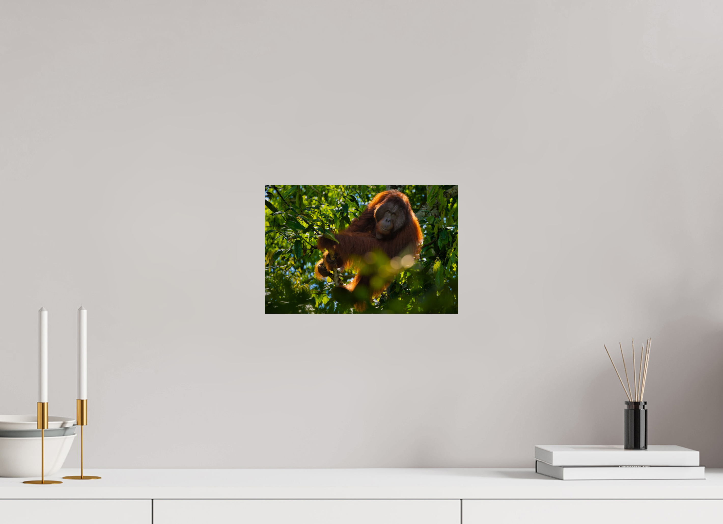 12 x 8″, Fine Art prints In the Canopy