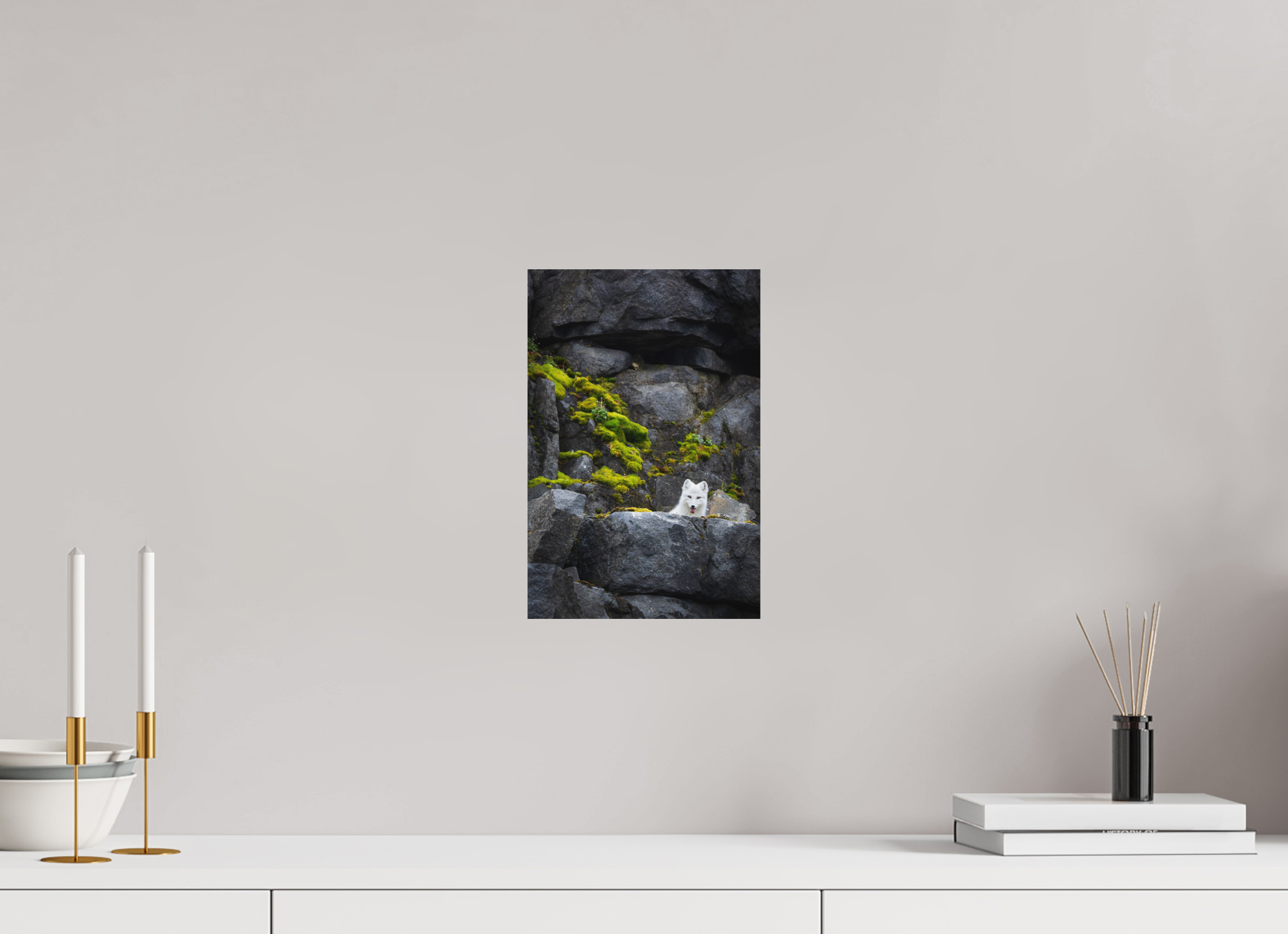 8 x 12″, Metal WHITE FOX