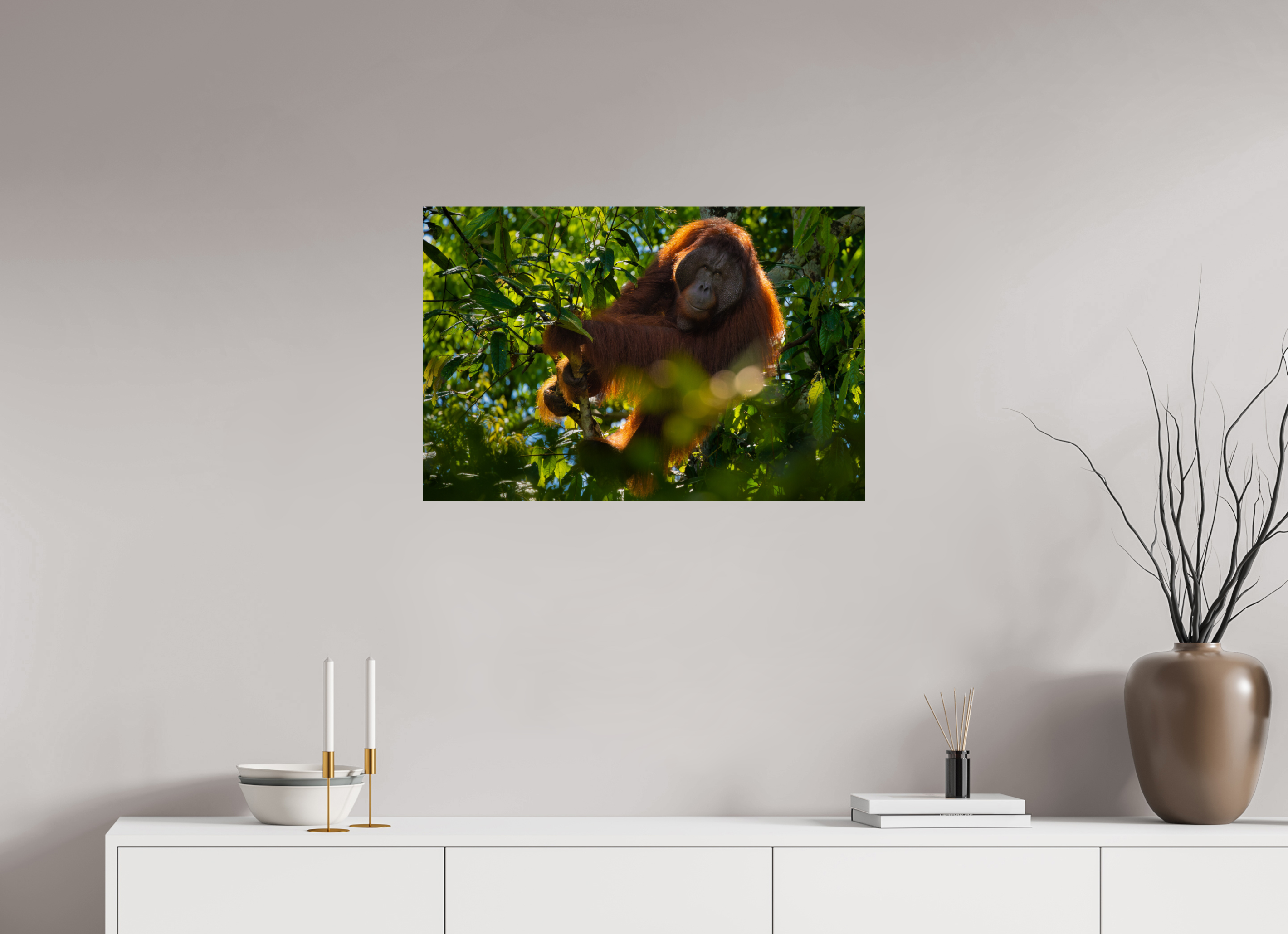 30 x 20″, Fine Art prints In the Canopy