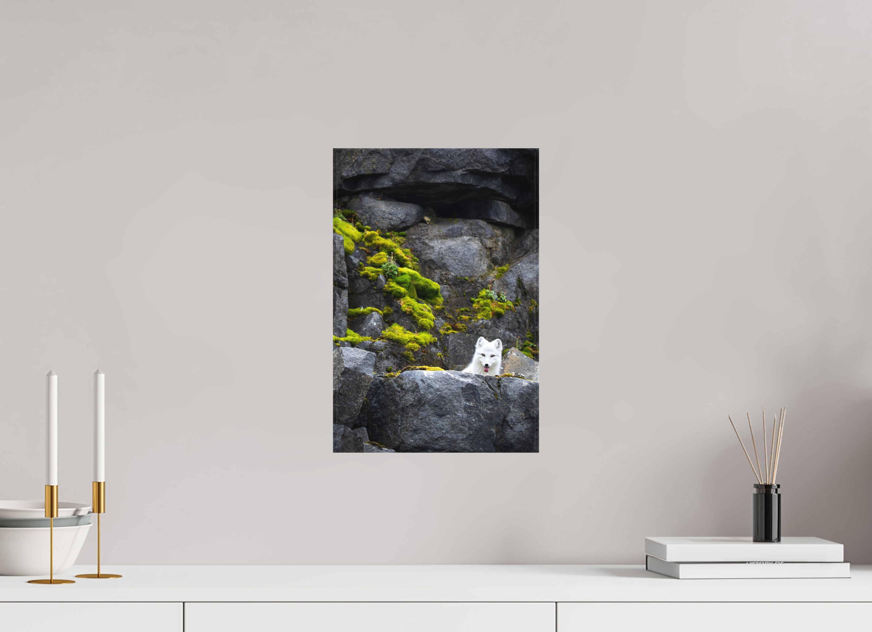 10 x 15″, Canvas WHITE FOX