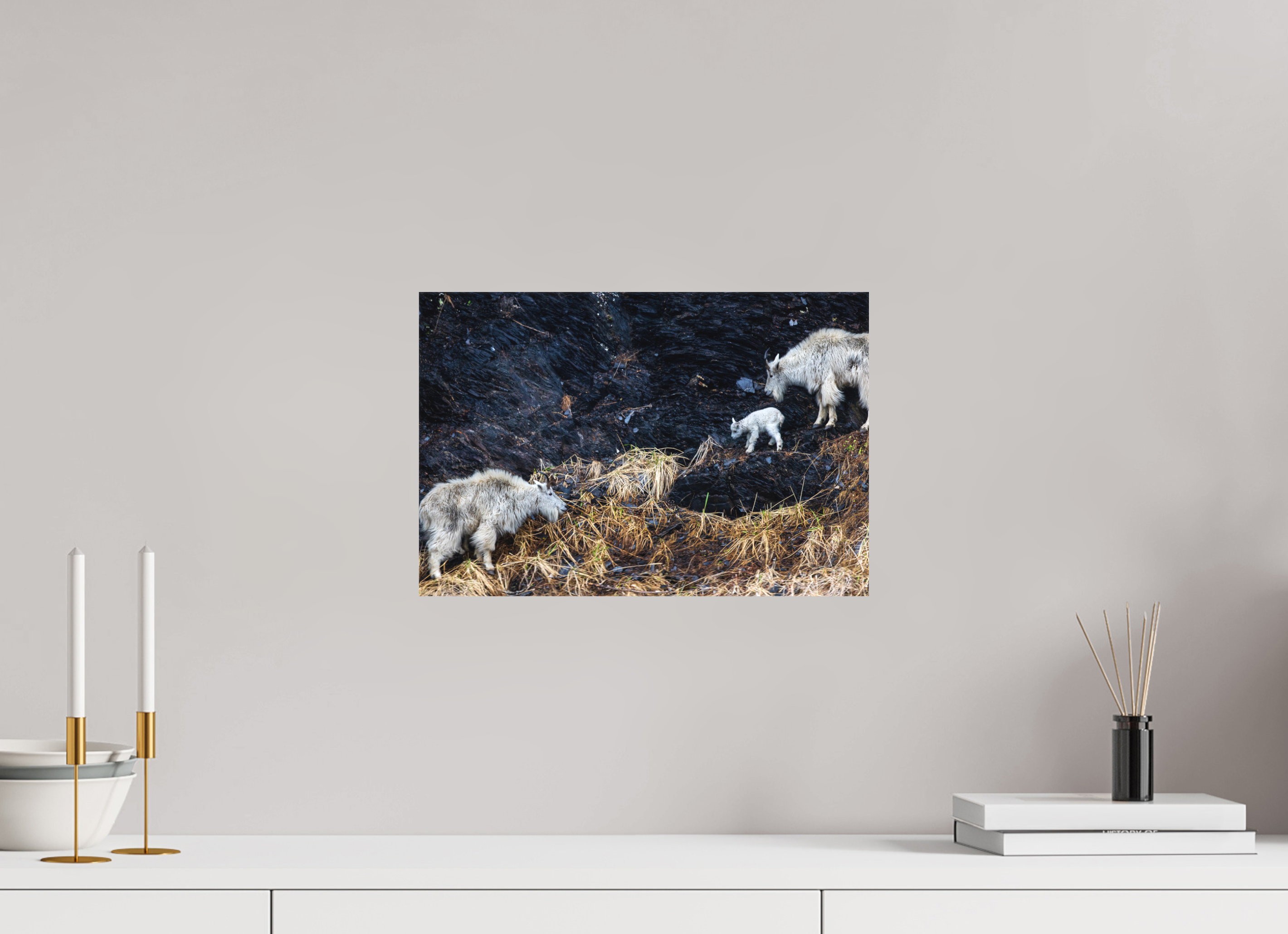 15 x 10″, Canvas Sure-Footed
