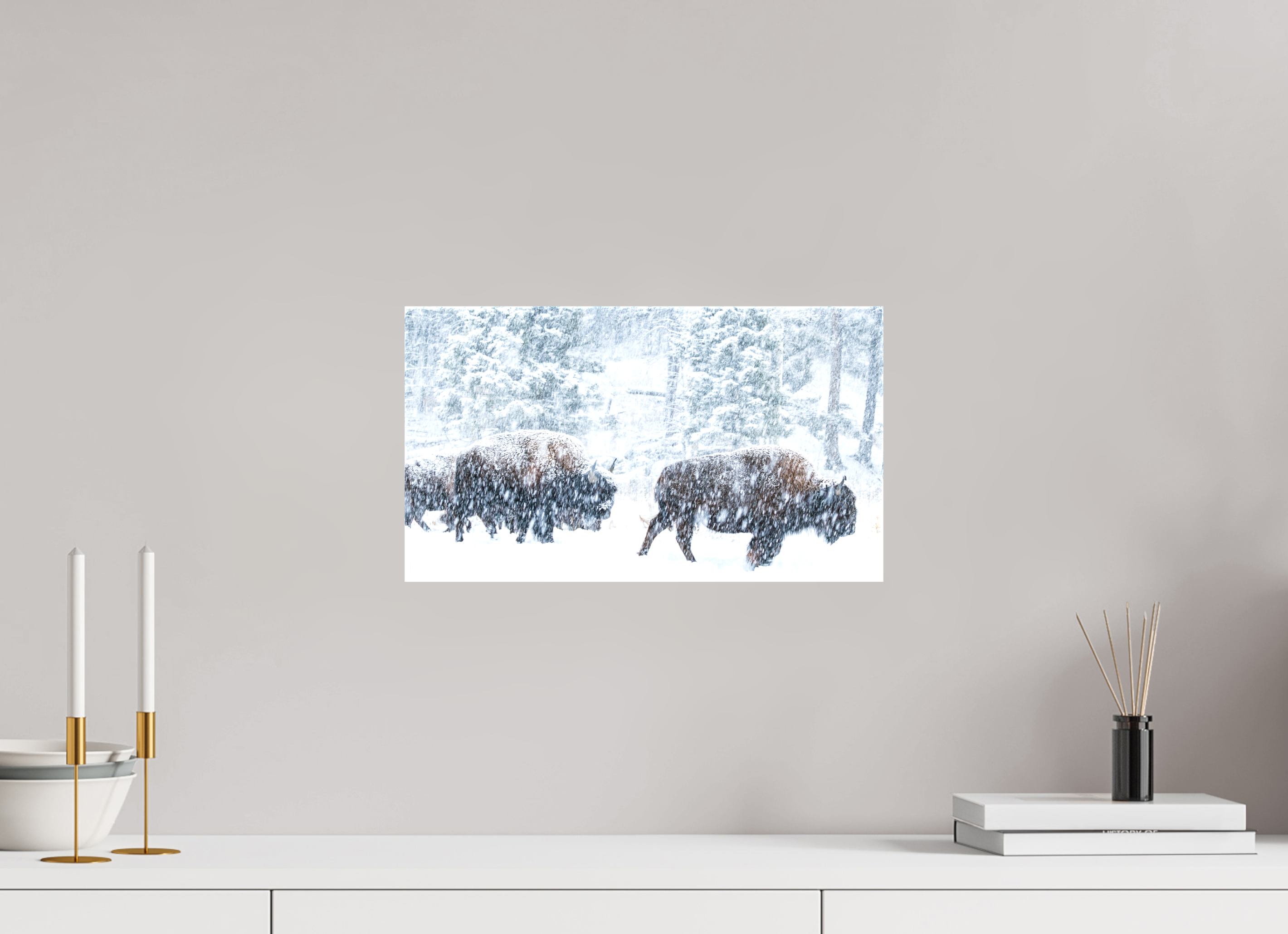 16 x 9″, Canvas Snowy Bison