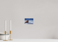 6 x 4″, Fine Art prints Haul Out