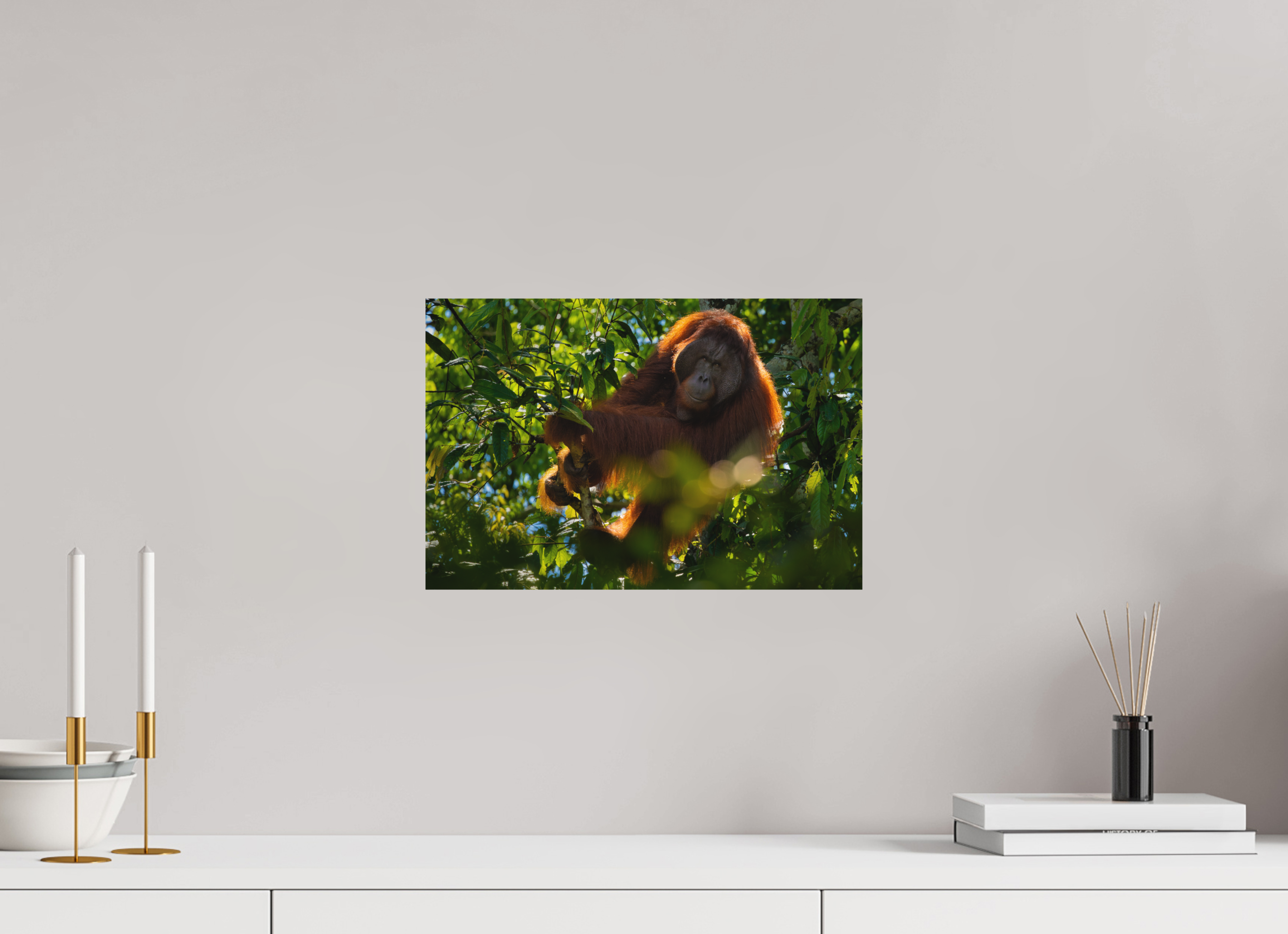 15 x 10″, Metal In the Canopy