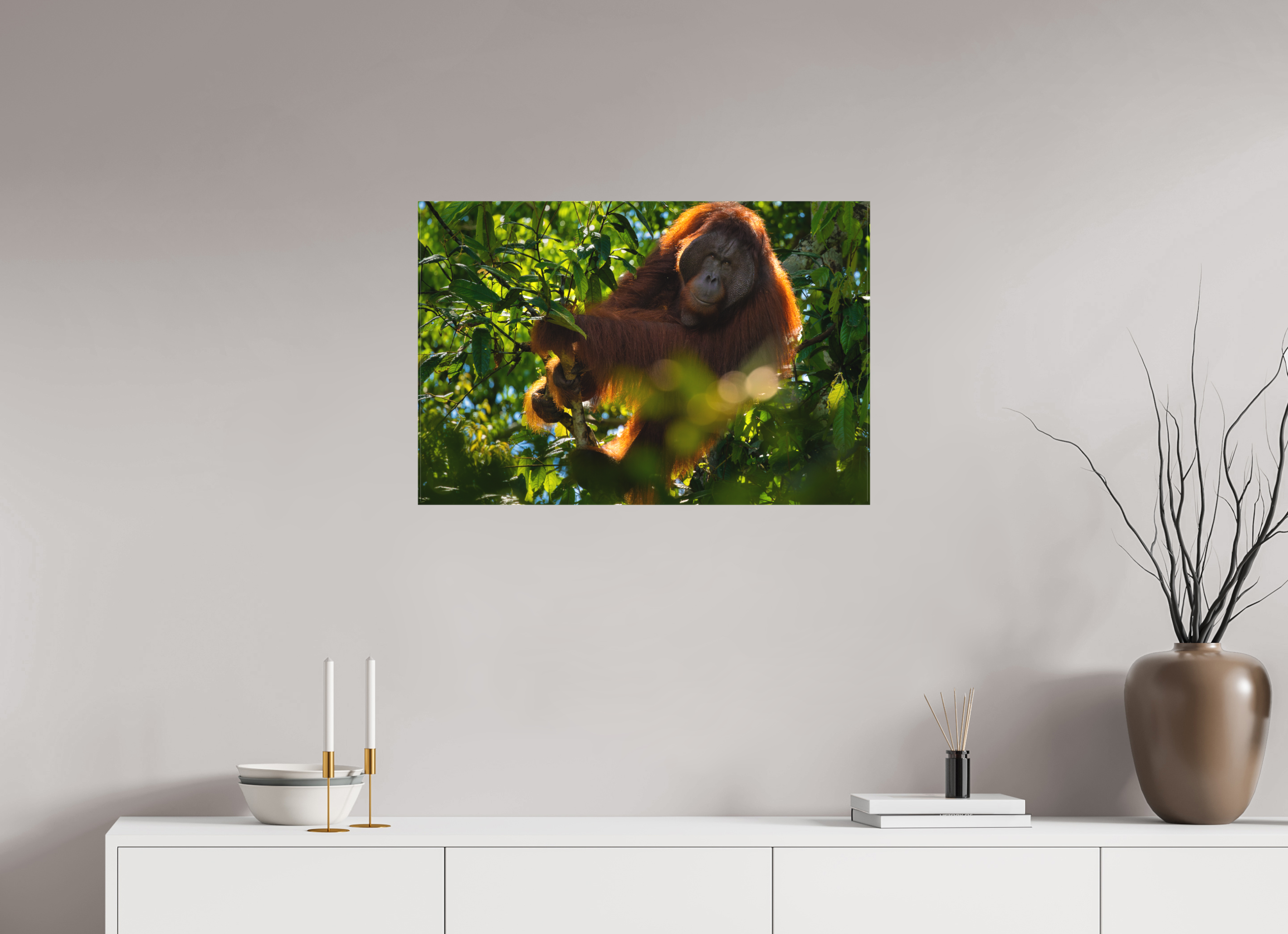 30 x 20″, Canvas In the Canopy
