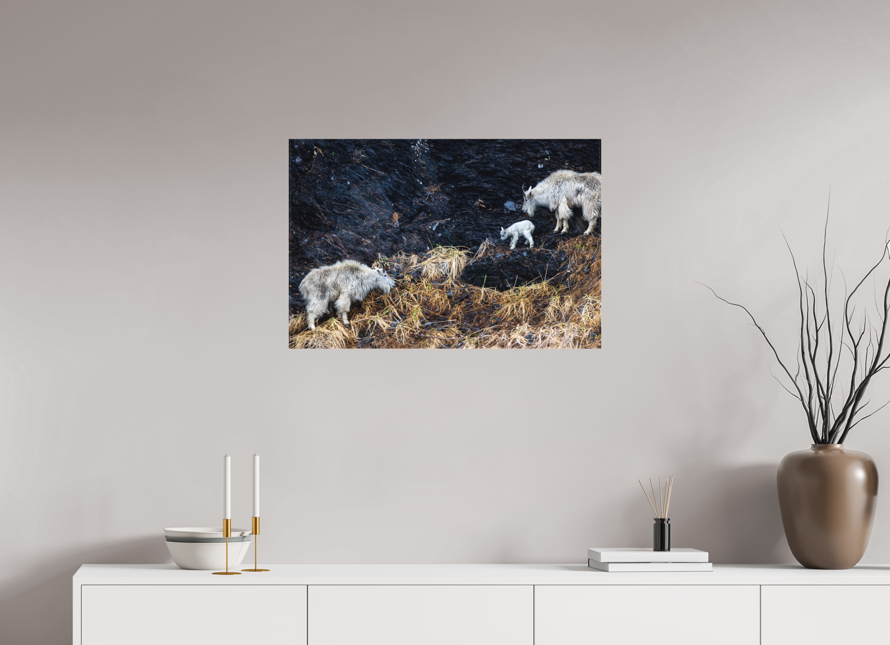 30 x 20″, Canvas Sure-Footed
