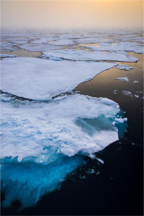Main image ARCTIC DRIFT