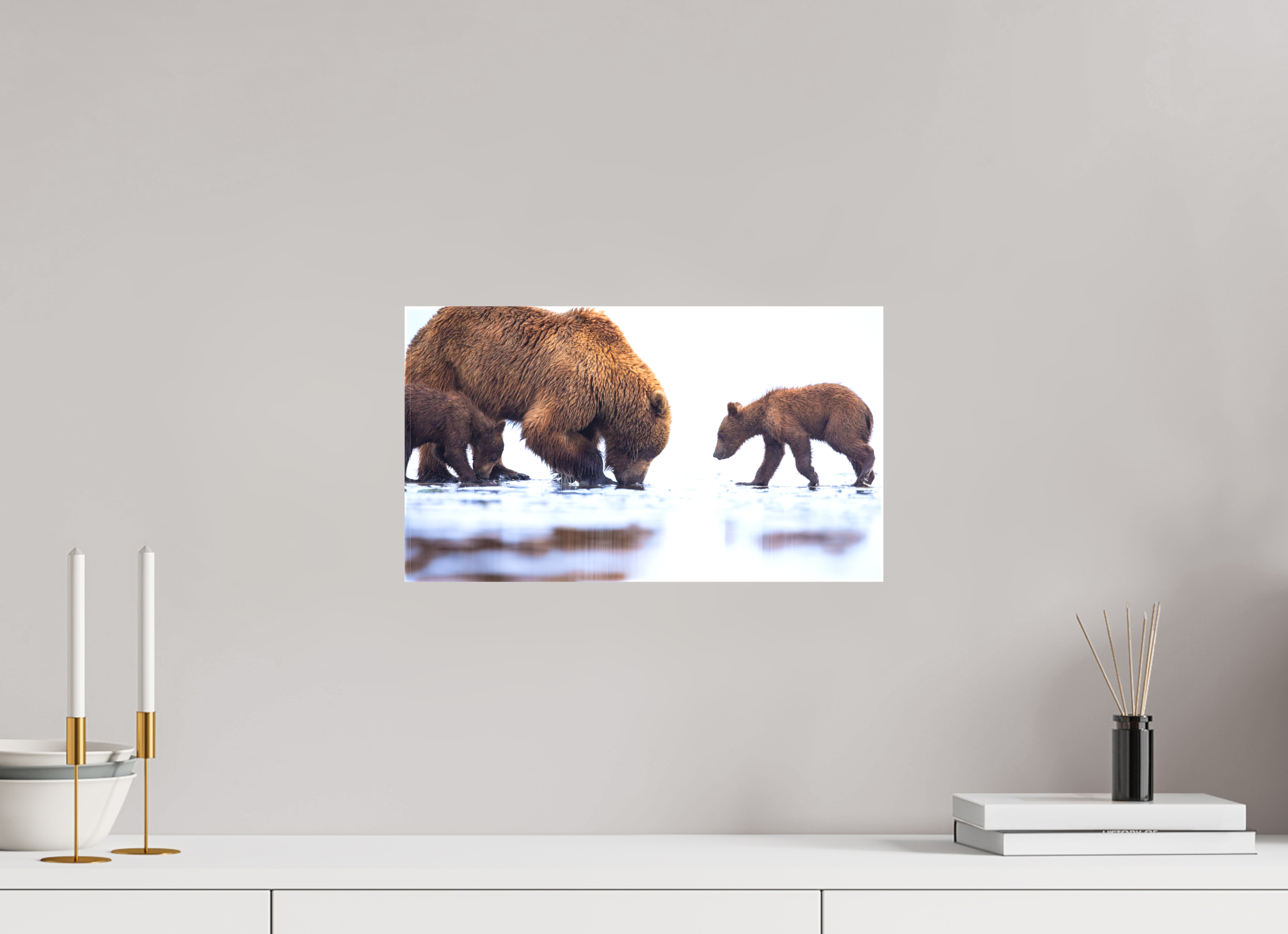 16 x 9″, Canvas First Lesson — Brown Bear & Cubs, Lake Clark National Park, Alaska
