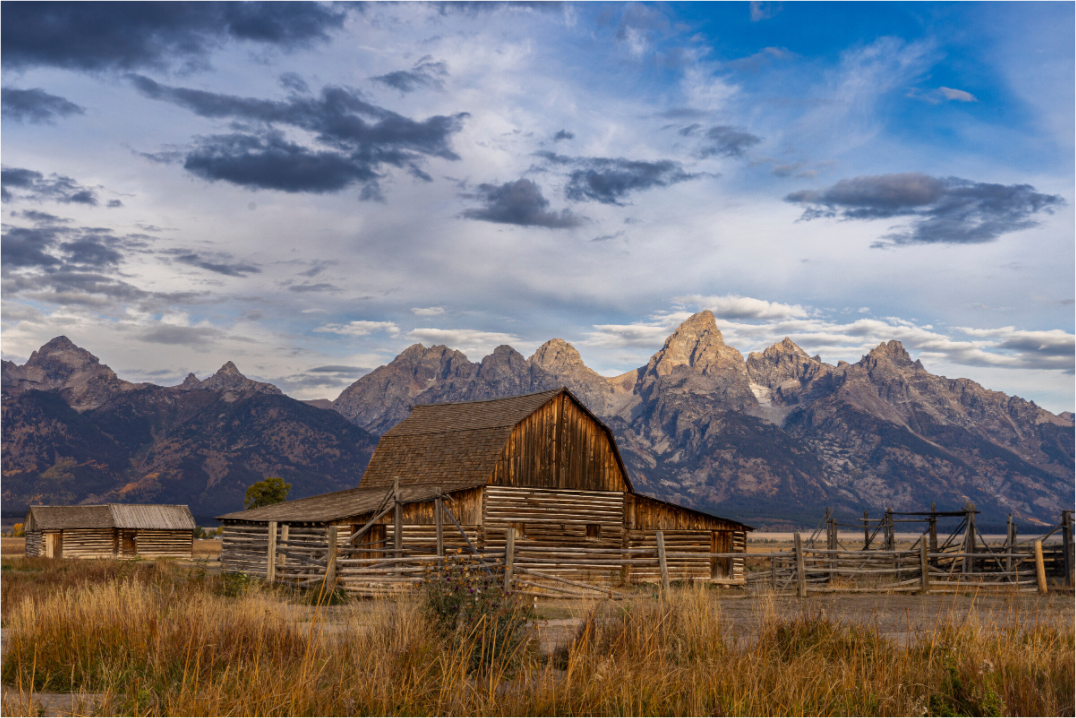 Main image HOMESTEAD
