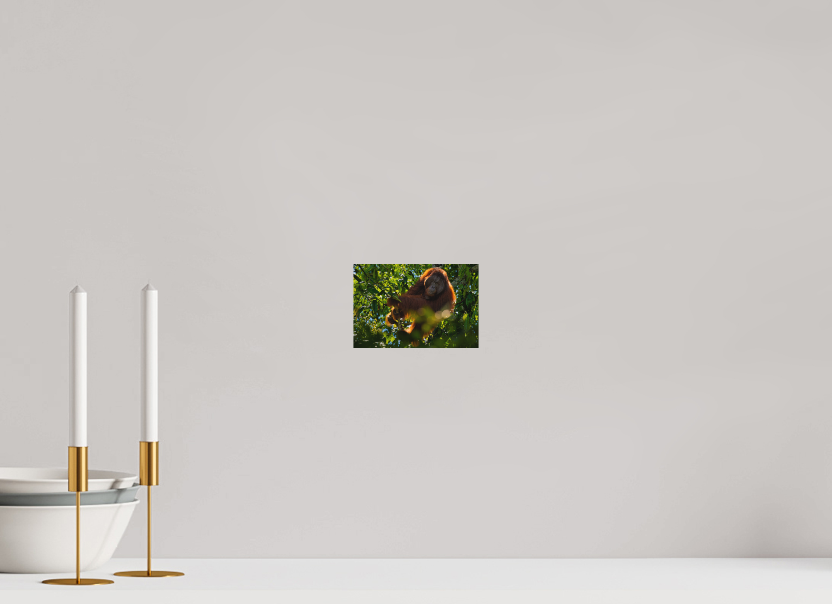6 x 4″, Metal In the Canopy