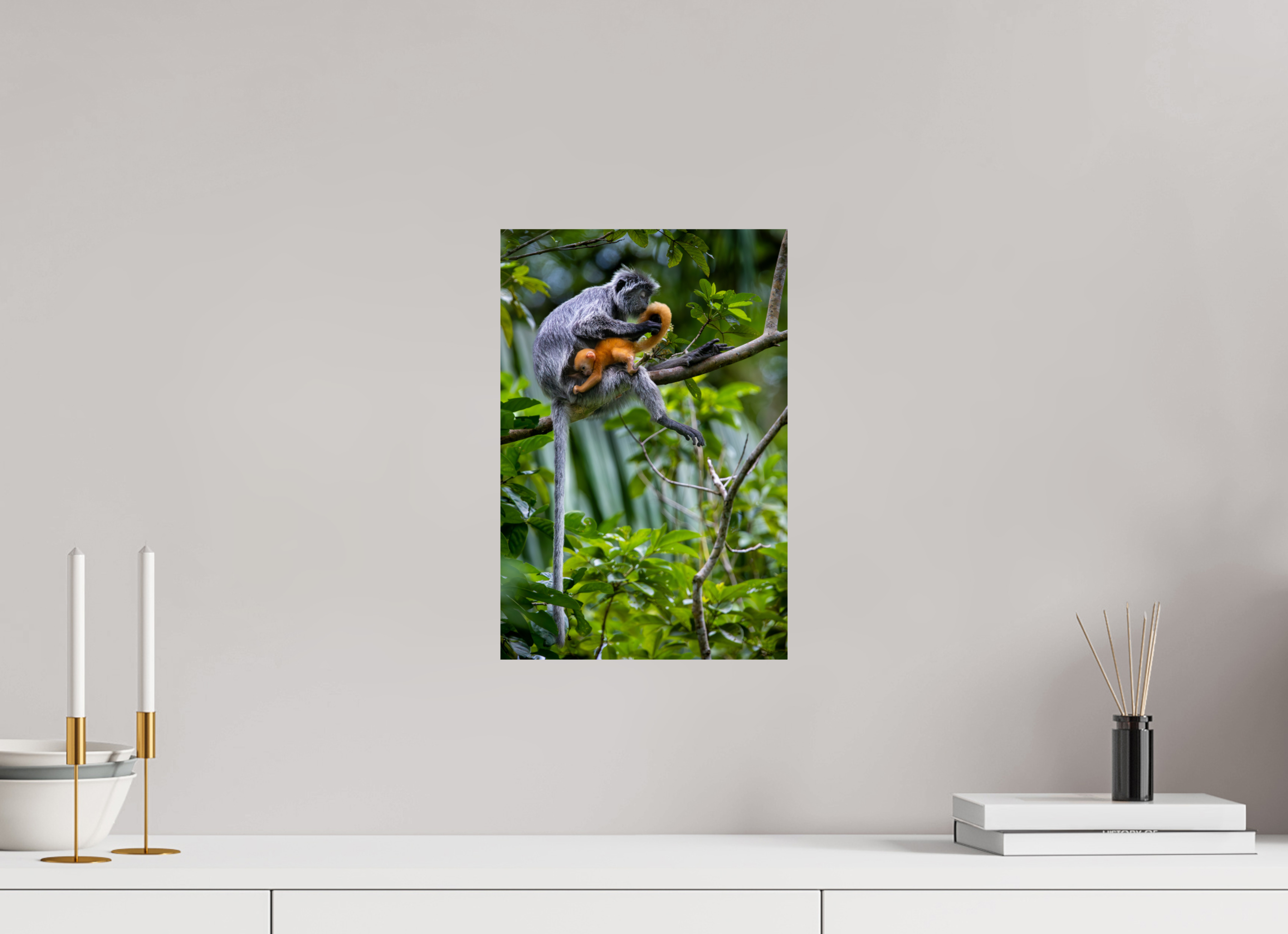 10 x 15″, Fine Art prints treetop watch