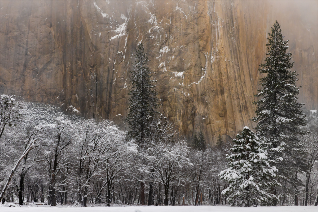 Main image El Capitan in Winter, Close