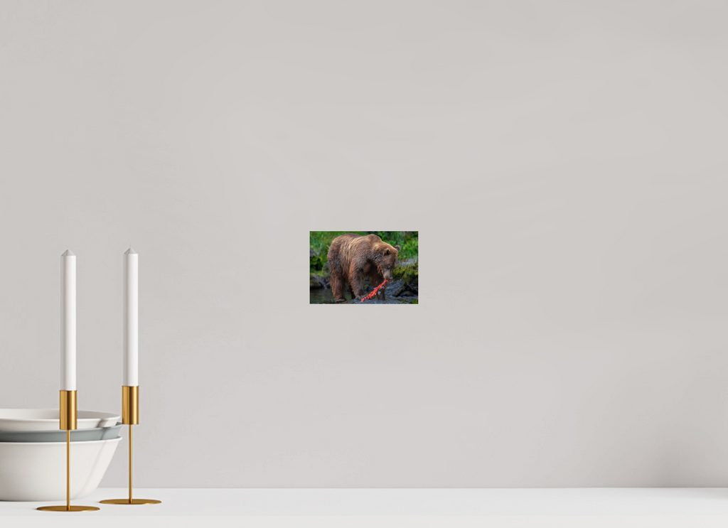6 x 4″, Fine Art prints First Light Salmon