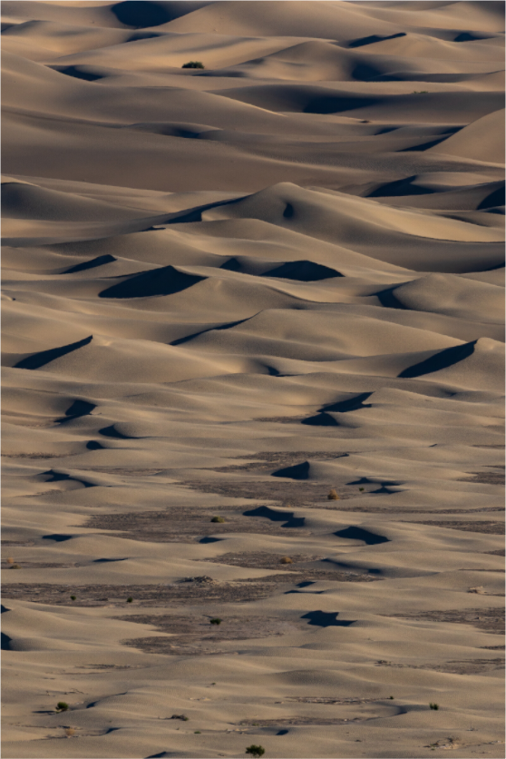 Main image DUNES AT DUSK
