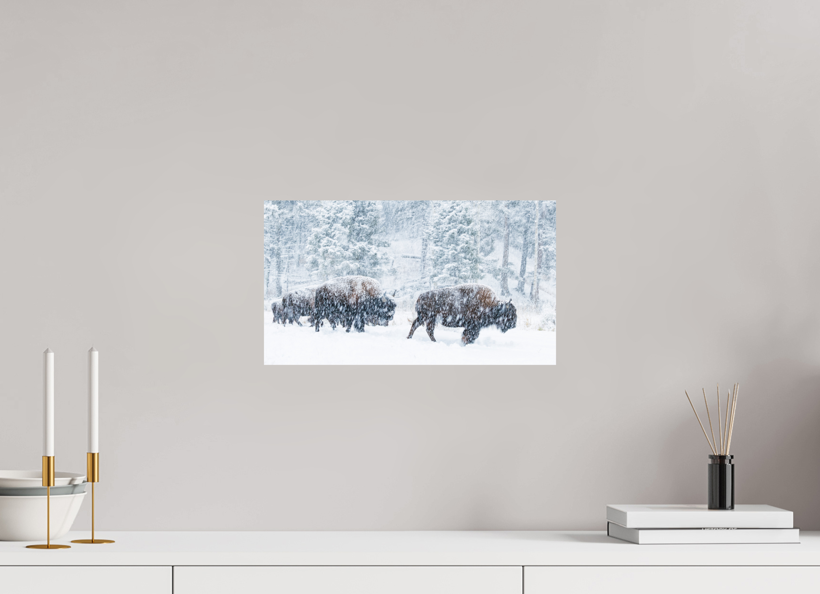 16 x 9″, Fine Art prints Snowy Bison