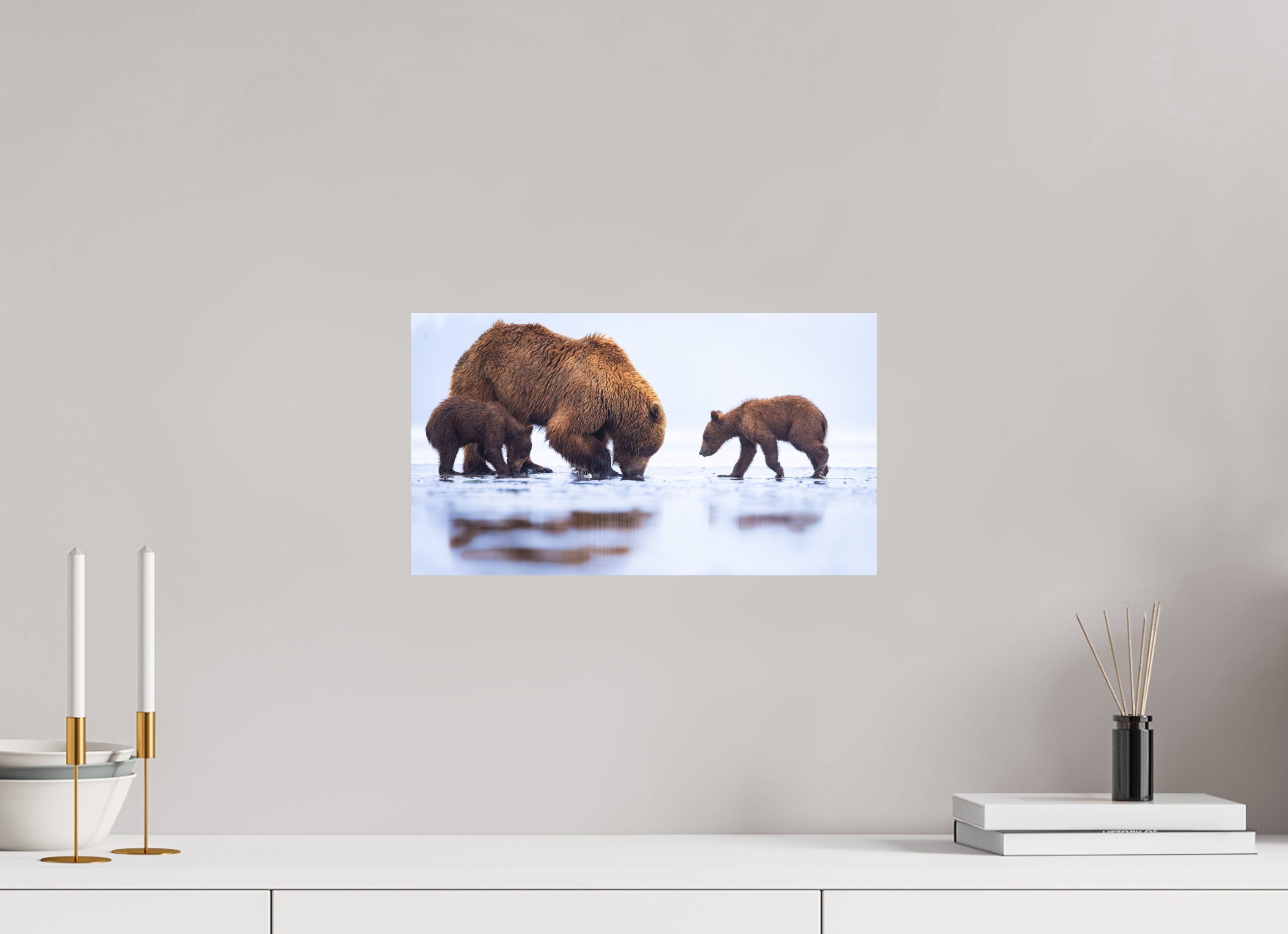 16 x 9″, Metal First Lesson — Brown Bear & Cubs, Lake Clark National Park, Alaska