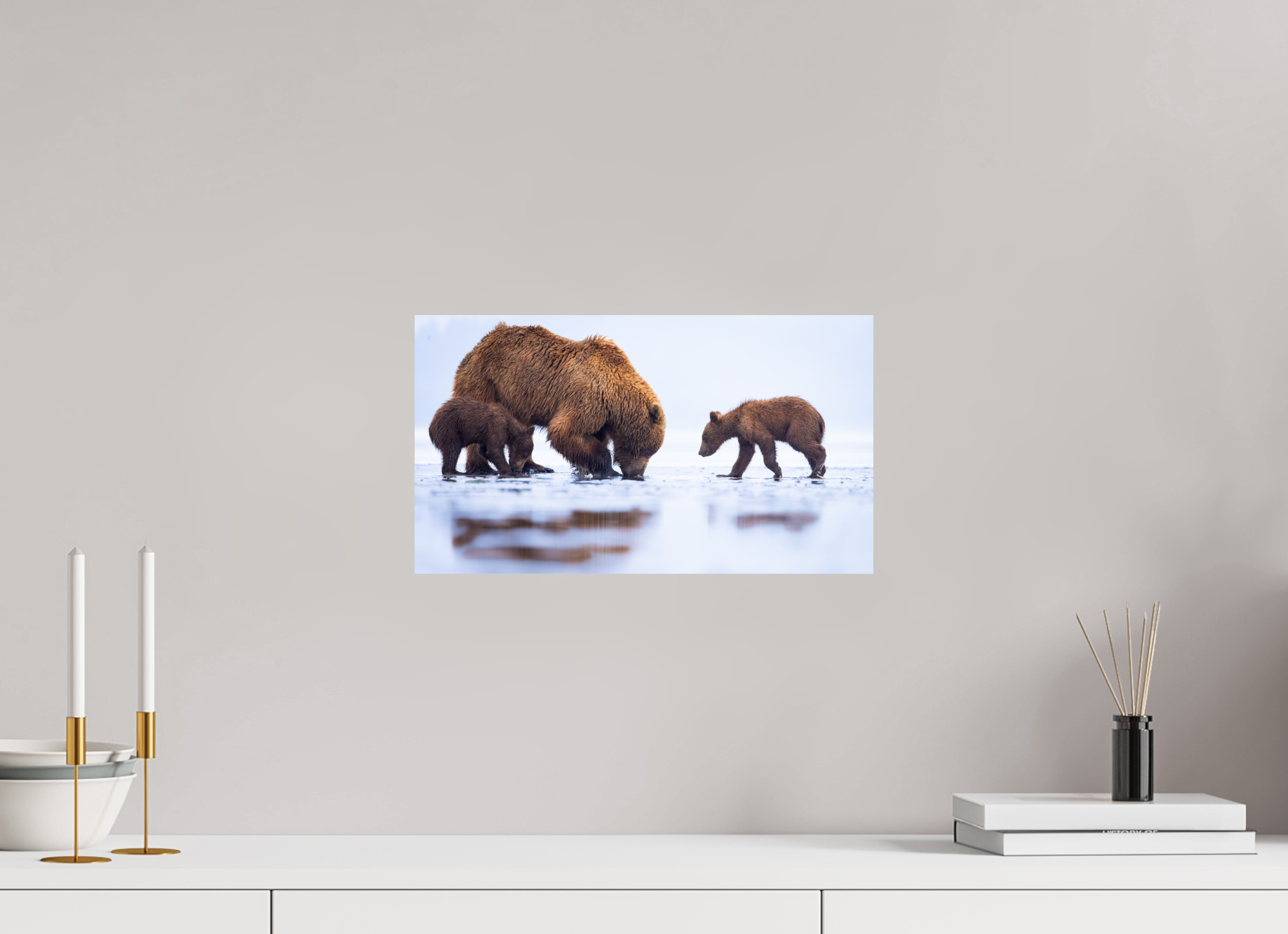 16 x 9″, Fine Art prints First Lesson — Brown Bear & Cubs, Lake Clark National Park, Alaska