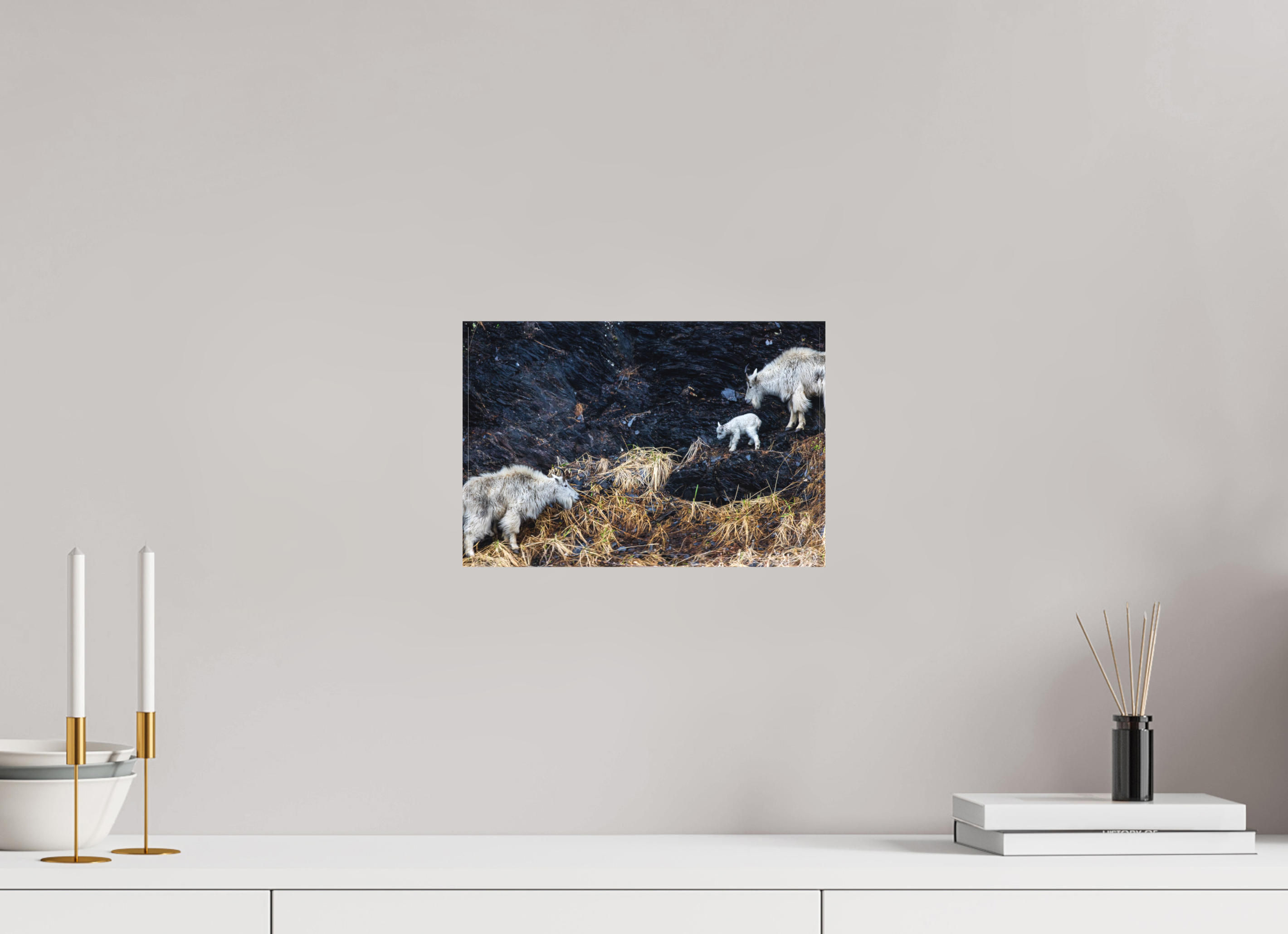 12 x 8″, Canvas Sure-Footed