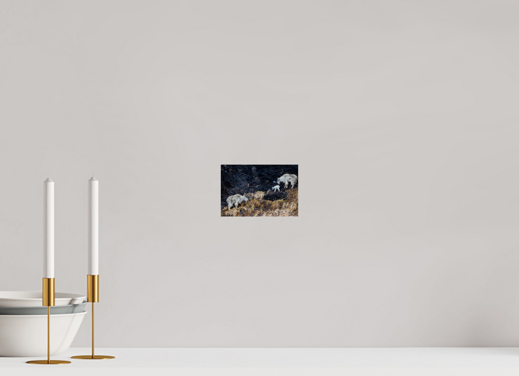 6 x 4″, Fine Art prints Sure-Footed