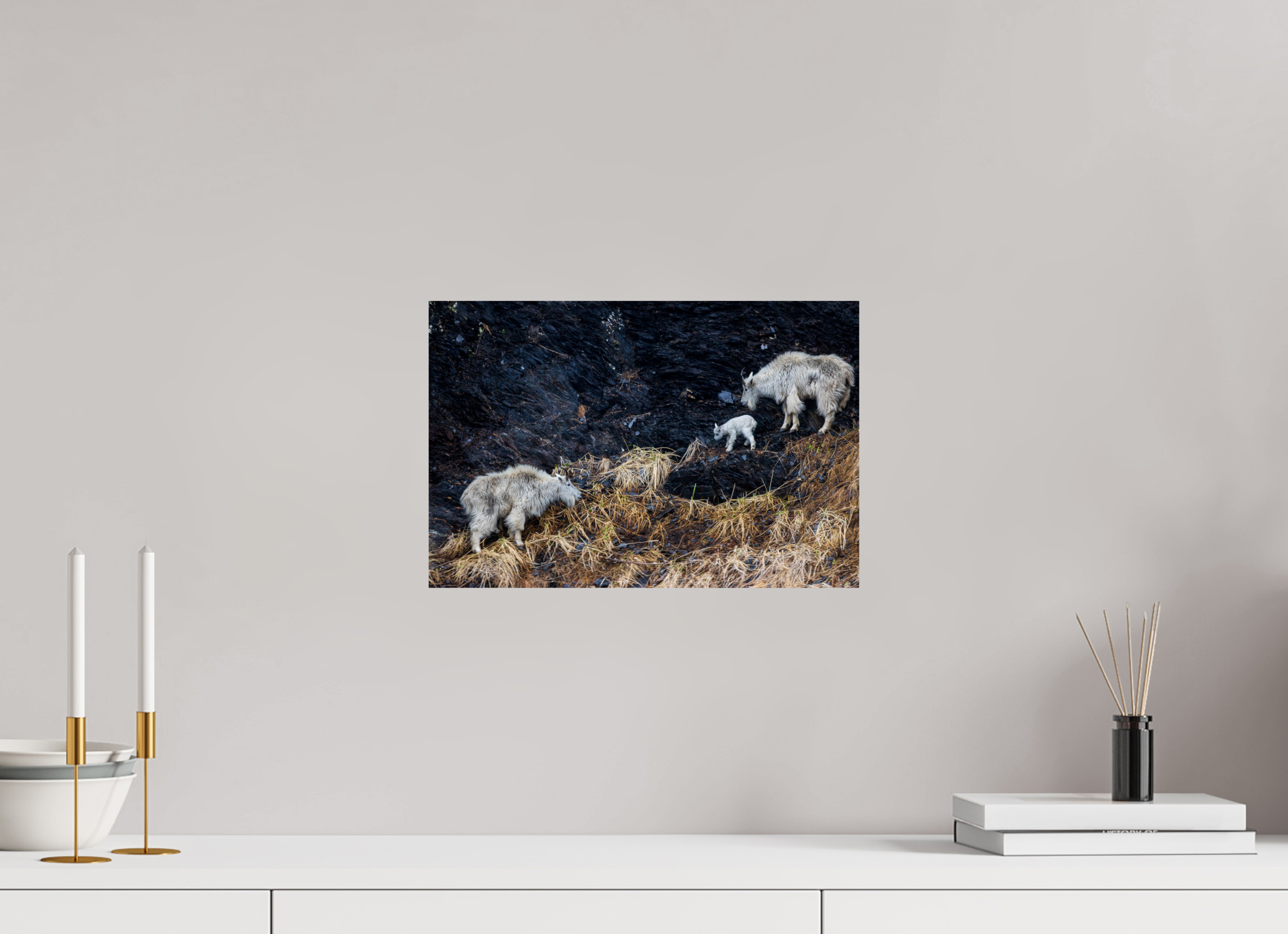 15 x 10″, Fine Art prints Sure-Footed